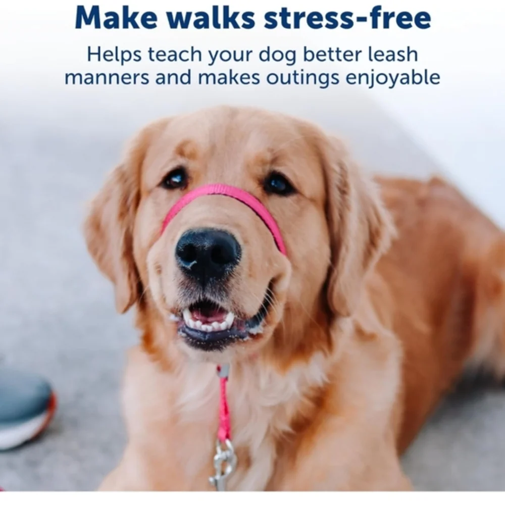 PetSafe easy walk